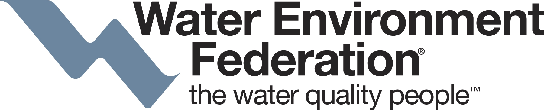 WEF logo