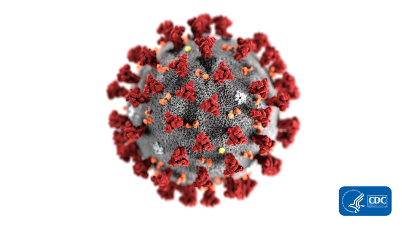 Conocvirus