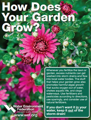 How Does Your Garden Grow ad image.jpg